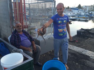 friendly sicilians show us their catch of the day, here the octopus...