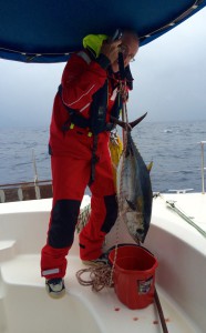 a beautiful yellow fin thuna with 7.7 kg and 77cm