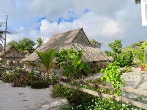 Thatched houses Abaiang