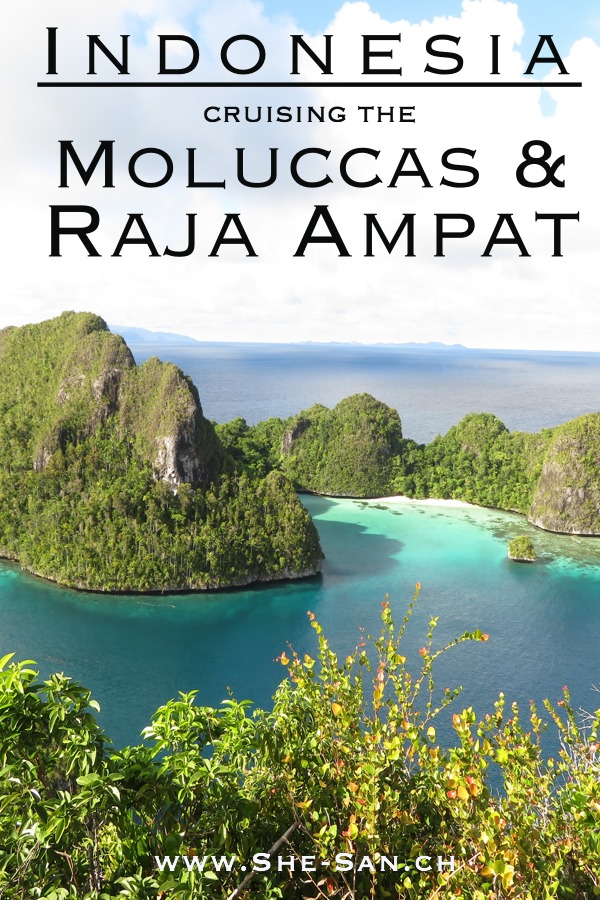 Indonesia Cruising the Moluccas and Raja Ampat, best diving spot ever
